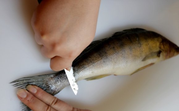 Как очистить рыбу от чешуи