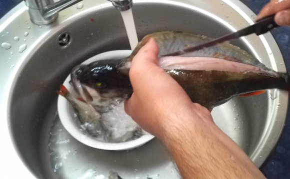 Как Почистить Рыбу Окунь в Домашних Условиях