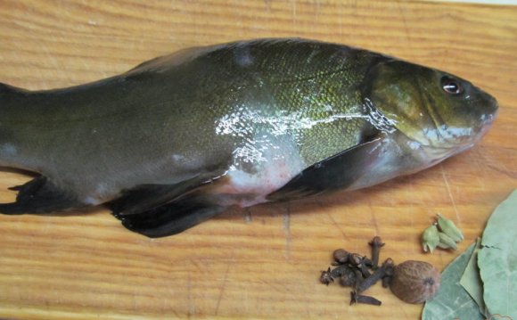 Как Почистить Рыбу Линь от Чешуи Видео