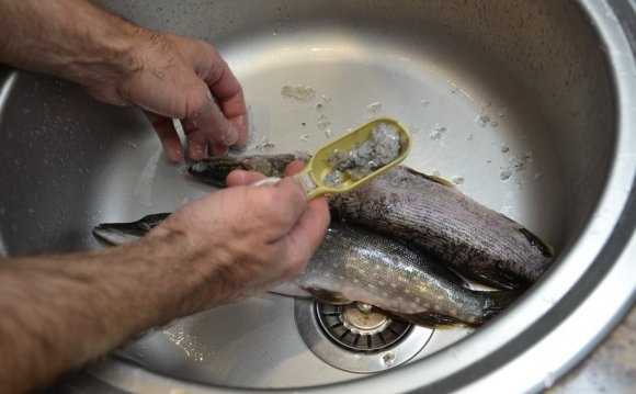 Как Правильно Чистить Рыбу от Чешуи