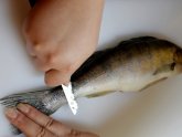 Как Легко Очистить Рыбу от Чешуи