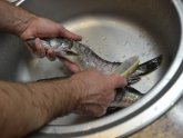 Как Почистить Керхером Рыбу