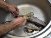 Как Правильно Чистить Рыбу от Чешуи
